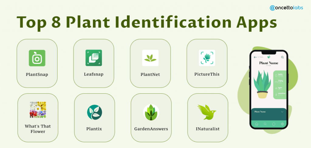 What is the Cost to Build A Plant Identification App in 2023?