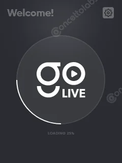 Live Streaming Interface